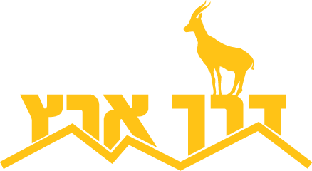 דרך ארץ
