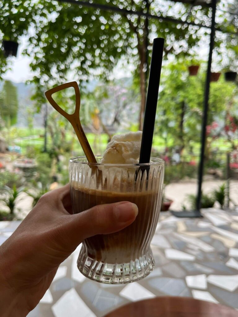 בית קפה חתולים בטאם קוק