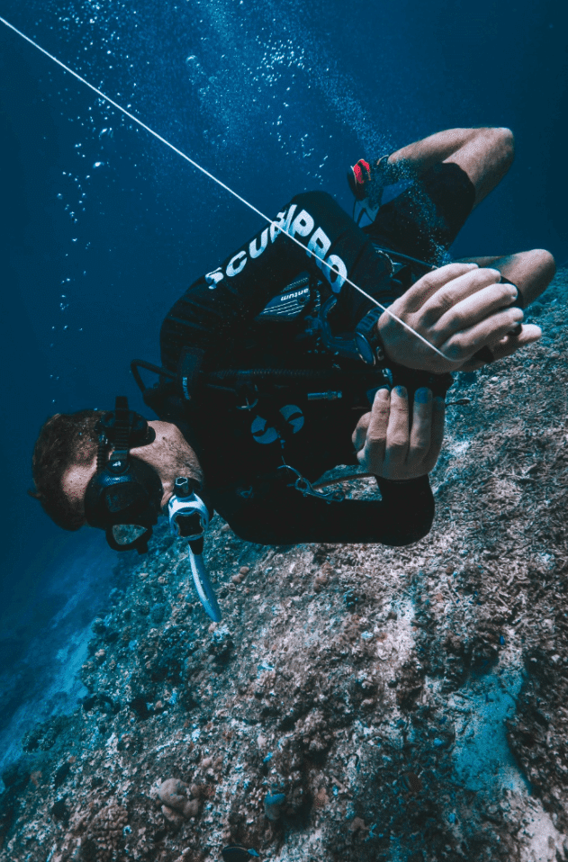 קורס צלילה בקו טאו