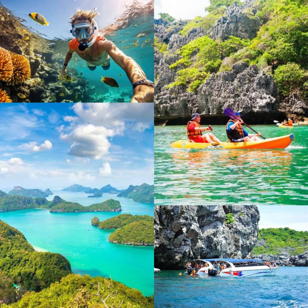 טיול קאטאמרן יוקרתי לאי החזירים