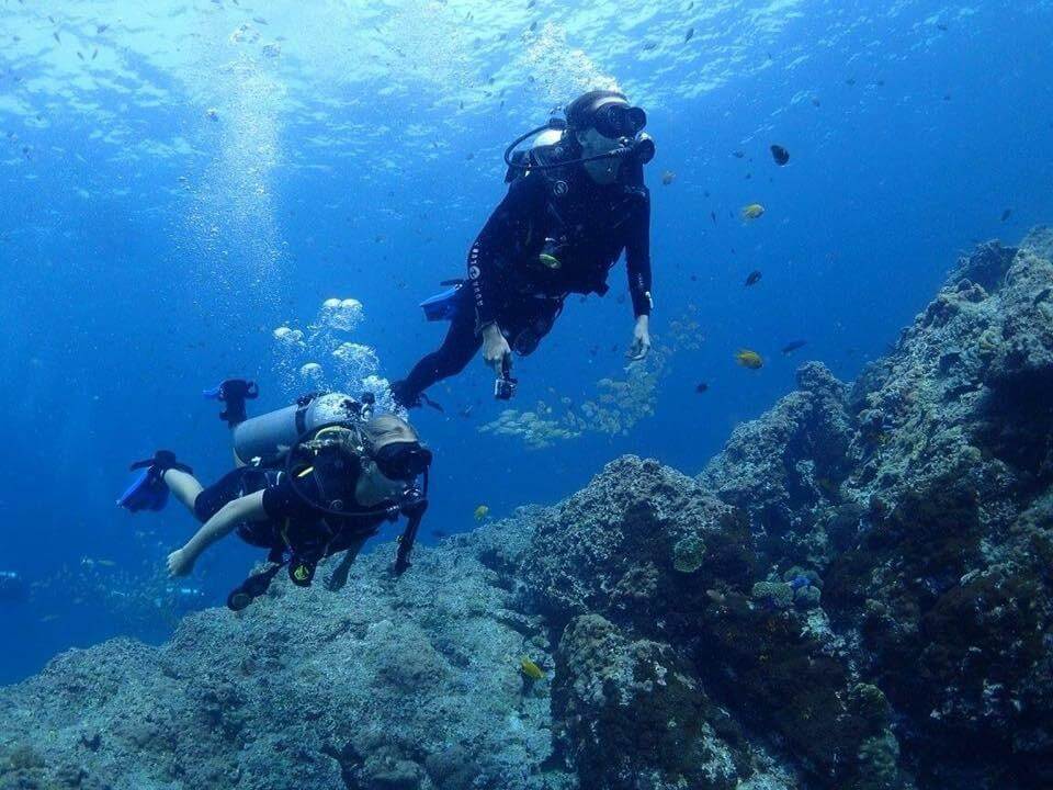 צלילת היכרות וקורס צלילה בקו טאו