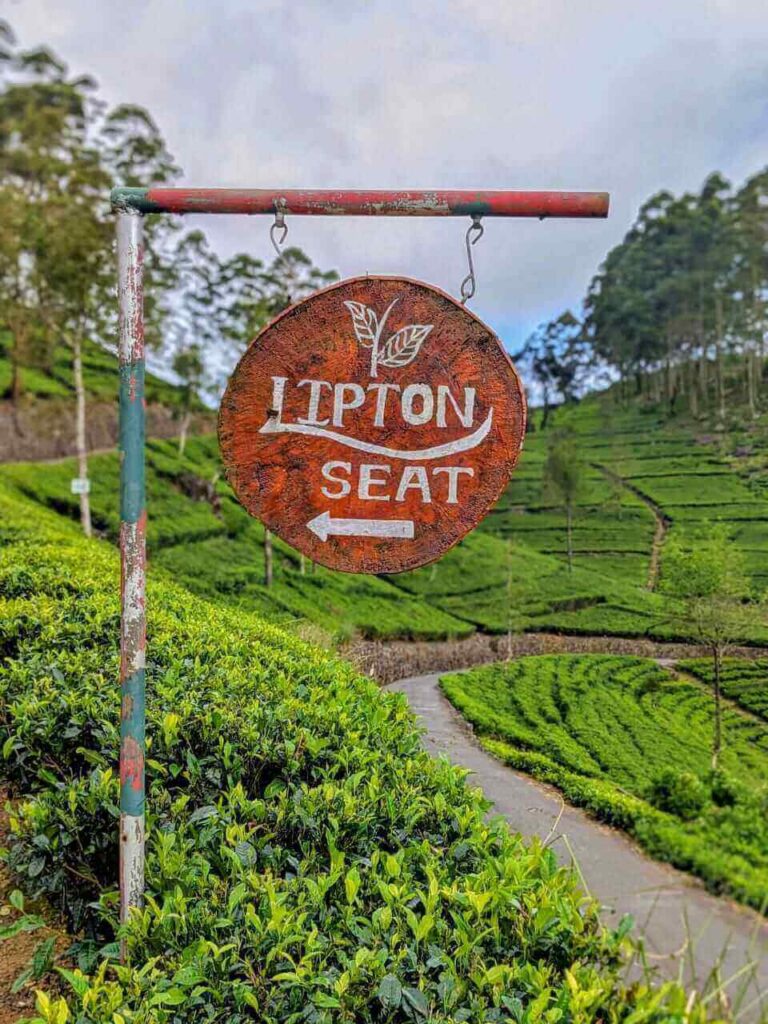 טרק ליפטון סיט וכפר התה