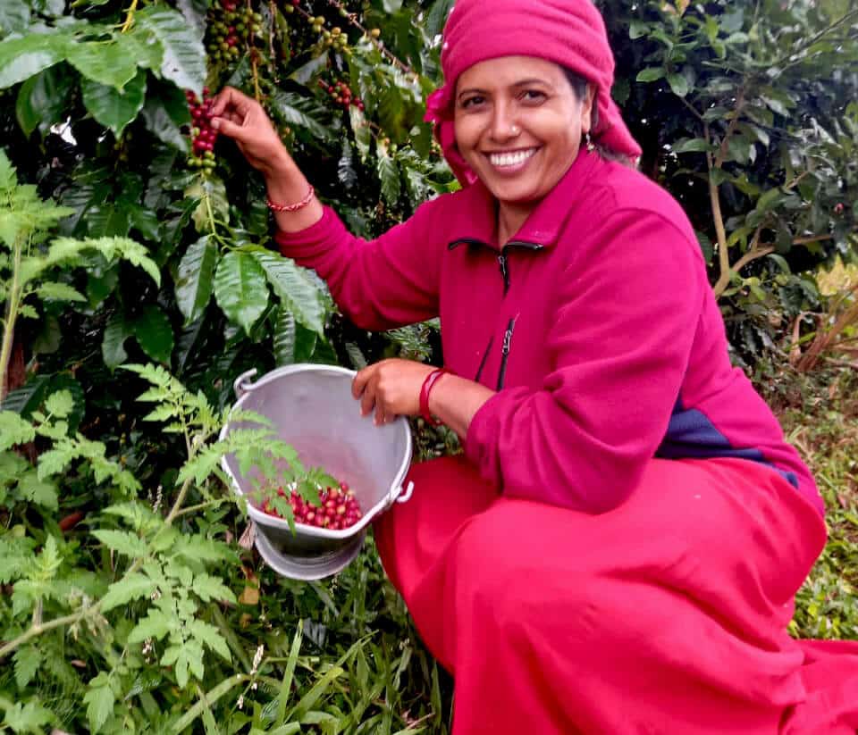 סיור בכפרים באגם בנגס