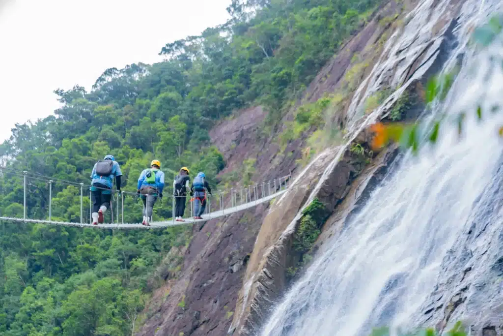 Bach Ma Discovery 1D